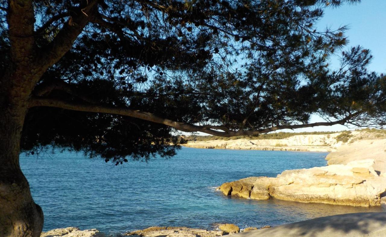 Les Lauriers Villa Sausset-les-Pins Buitenkant foto